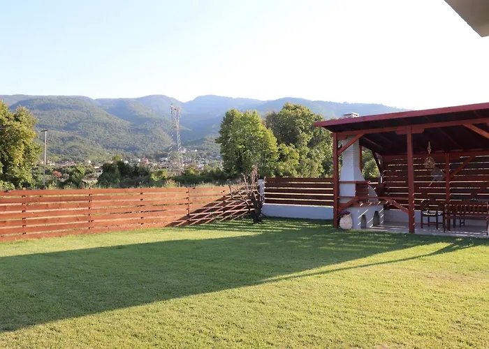 Olympus Paradise 1 Skotina